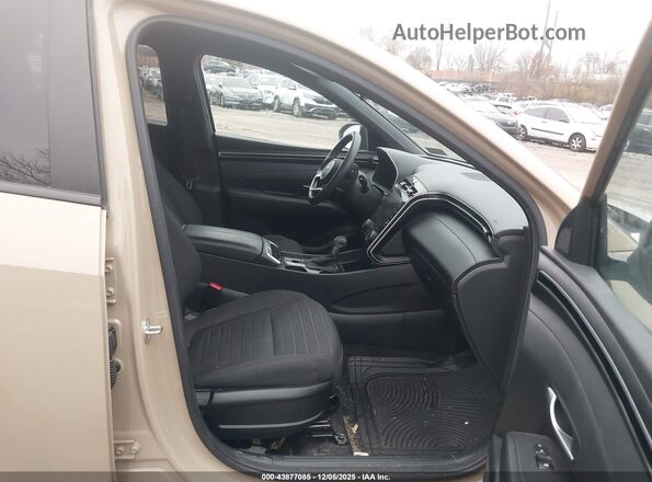 5NTJBDAE2PH074745 2023 HYUNDAI SANTA CRUZ Cream Vista interior delantera