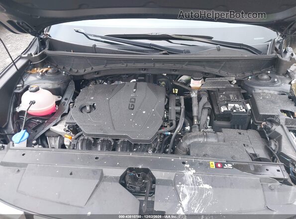 5NTJBDAE9RH084031 2024 HYUNDAI SANTA CRUZ Black Vista trasera