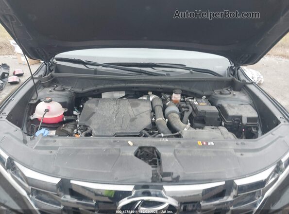 5NTJEDAF3RH080413 2024 HYUNDAI SANTA CRUZ Black უკანა ხედი