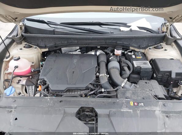 5NTJEDAF9PH064116 2023 HYUNDAI SANTA CRUZ Желто-коричневый Вид сзади