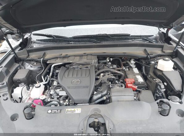 5TDAAAA62SS013827 2025 LEXUS TX 350 Gray Widok z tyłu