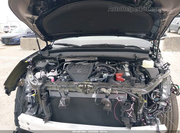 5TDAAAB66TS050704 2026 LEXUS TX Черный Вид сзади