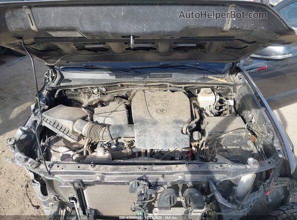 5TFCZ5AN7LX214599 2020 TOYOTA TACOMA 4WD Серый Вид сзади