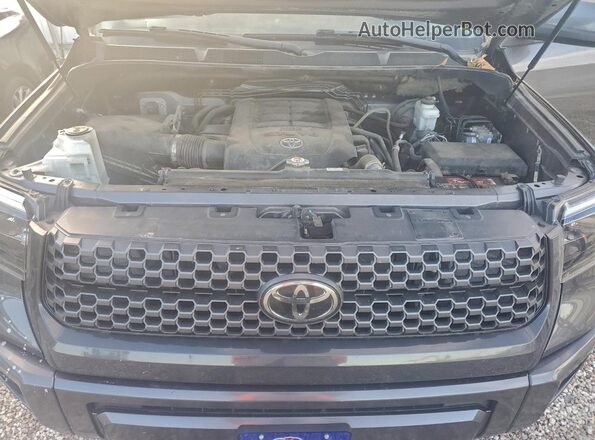 5TFDW5F13KX829281 2019 TOYOTA TUNDRA Угольный Вид задней части салона