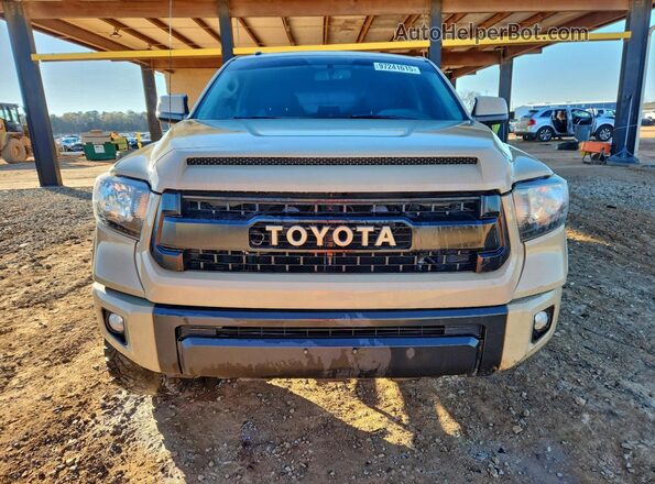 5TFDW5F19GX495555 2016 TOYOTA TUNDRA Бежевый Вид спереди