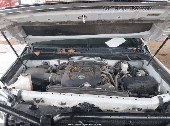 5TFDY5F18MX996684 2021 TOYOTA TUNDRA Белый Вид сзади