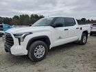 2024 Toyota Tundra Crewmax Sr White vin: 5TFLA5DB1RX201963