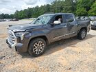 2024 Toyota Tundra Crewmax Platinum Gray vin: 5TFMA5AB5RX031096