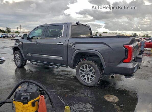 5TFMA5DB5SX247306 2025 TOYOTA TUNDRA Серый Задняя левая четверть