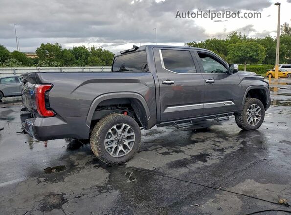 5TFMA5DB5SX247306 2025 TOYOTA TUNDRA Серый Задняя правая четверть