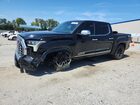 2022 Toyota Tundra Crewmax Platinum Black vin: 5TFMA5DB7NX012457