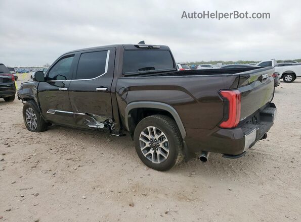 5TFMA5DB7SX305948 2025 TOYOTA TUNDRA Коричневый Задняя левая четверть