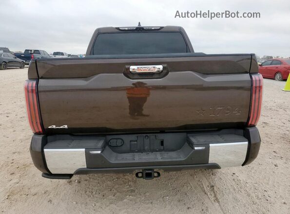 5TFMA5DB7SX305948 2025 TOYOTA TUNDRA Коричневый Вид сзади