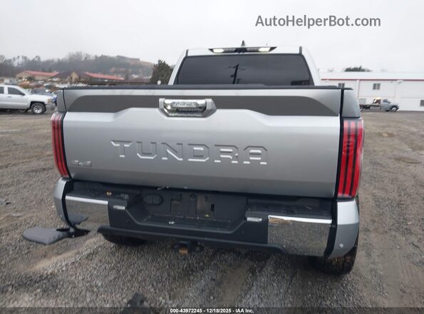 5TFMC5DB9RX054659 2024 TOYOTA TUNDRA HYBRID Серебряный 