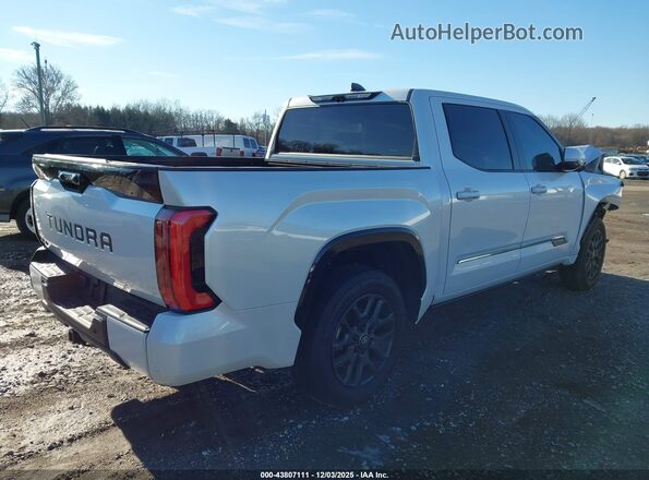 5TFNA5DB6SX254236 2025 TOYOTA TUNDRA White Tył prawy