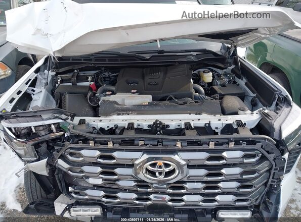 5TFNA5DB6SX254236 2025 TOYOTA TUNDRA White Widok z tyłu