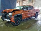 2024 Toyota Tundra Crewmax Limited Orange vin: 5TFPC5DB2RX081926
