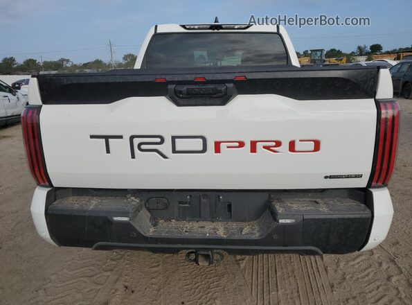 5TFPC5DB3SX092472 2025 TOYOTA LIMITED White Vista trasera