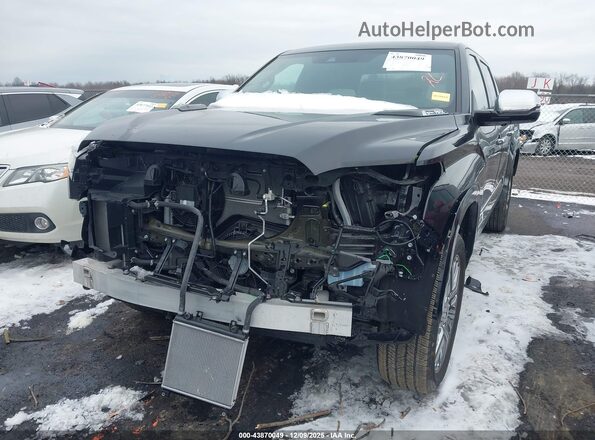5TFVC5DB3RX046724 2024 TOYOTA TUNDRA HYBRID Black Vista frontal