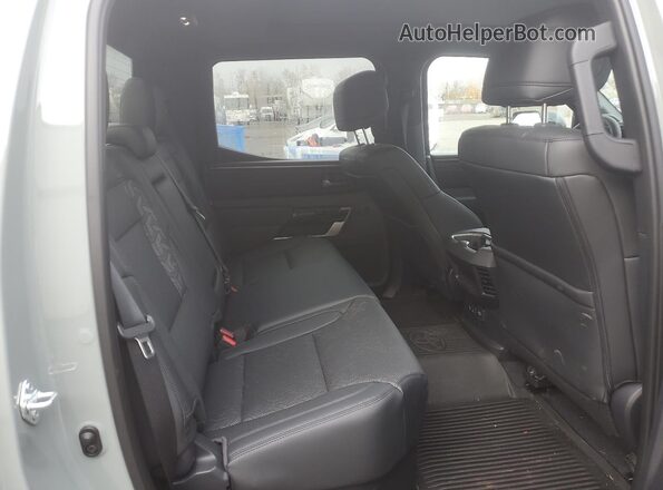 5TFWC5DB3SX110822 2025 TOYOTA LIMITED Серый Вид задних сидений