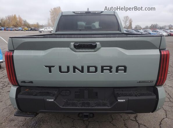 5TFWC5DB3SX110822 2025 TOYOTA LIMITED Серый Вид сзади