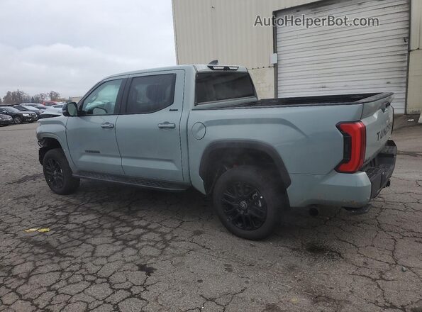 5TFWC5DB3SX110822 2025 TOYOTA LIMITED Серый Задняя левая четверть