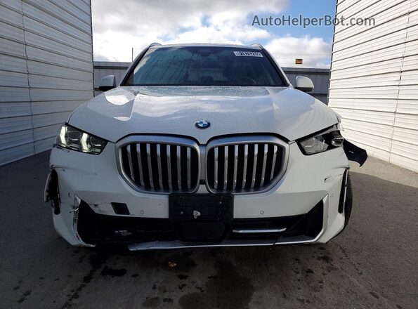 5UX13EU06R9V28703 2024 BMW X5 Белый Панорамный вид салона 360°