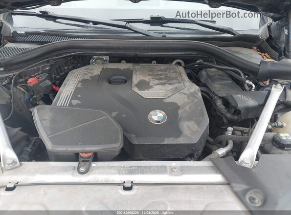 5UX2V1C03LLE67431 2020 BMW X4 Синий Вид сзади
