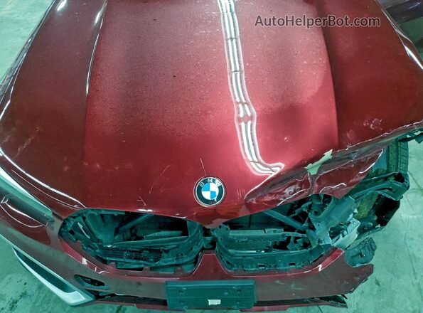 5UXCY6C05P9N73310 2023 BMW X6 Красный Вид подкапотного пространства