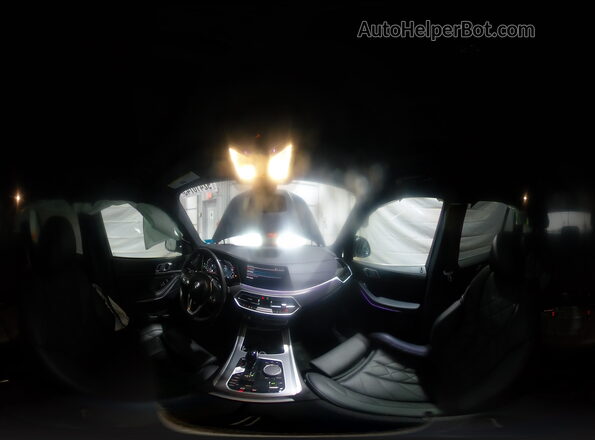 5UXTA6C08P9R84253 2023 BMW X5 Black Панорамний вид салону 360°
