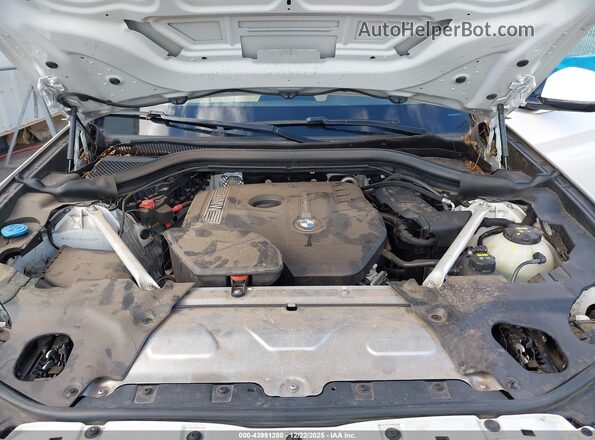 5UXTR7C59KLR45452 2019 BMW X3 Белый Вид сзади