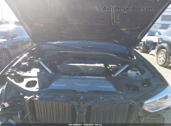 5UXTY3C0XM9G54266 2021 BMW X3 Black Widok z tyłu