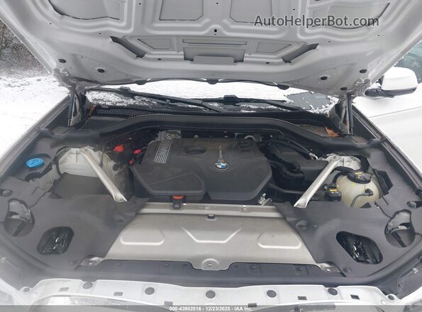 5UXUJ3C58KLG56019 2019 BMW X4 Белый Вид сзади