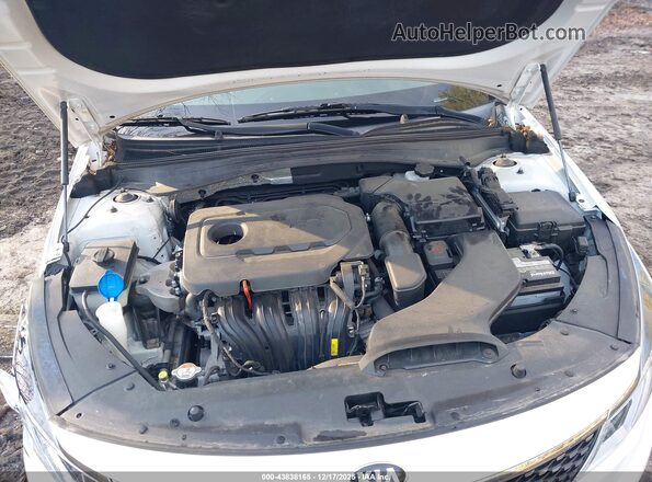 5XXGU4L32GG106801 2016 KIA OPTIMA Белый Вид сзади
