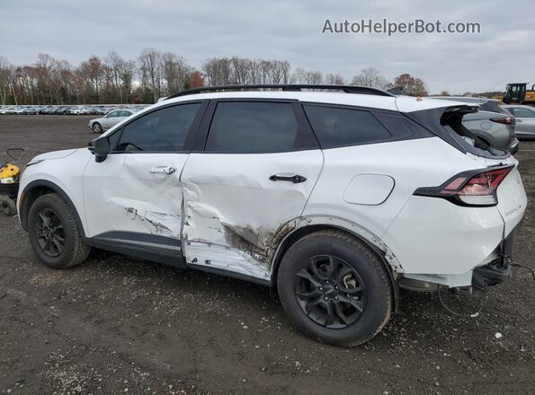 5XYK7CDF3RG164001 2024 KIA SPORTAGE White Tył lewy