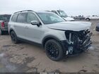 2024 Kia Telluride Ex X-line Gray vin: 5XYP3DGC0RG503032