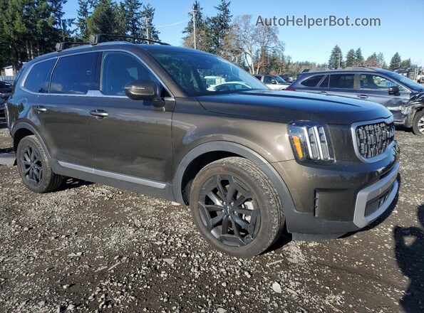 5XYP3DGC3PG403391 2023 KIA TELLURIDE Угольный Передняя правая четверть