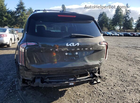 5XYP3DGC3PG403391 2023 KIA TELLURIDE Угольный Вид сзади