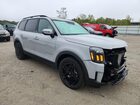 2024 Kia Telluride Ex Gray vin: 5XYP3DGC3RG460239