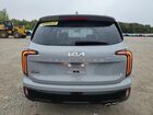 2024 Kia Telluride Ex Gray vin: 5XYP3DGC3RG460239