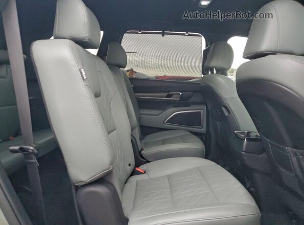 5XYP3DGC4PG400502 2023 KIA TELLURIDE Зеленый Вид задней части салона