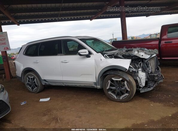 5XYP3DGC5RG456175 2024 KIA TELLURIDE White Widok wnętrza 360 stopni