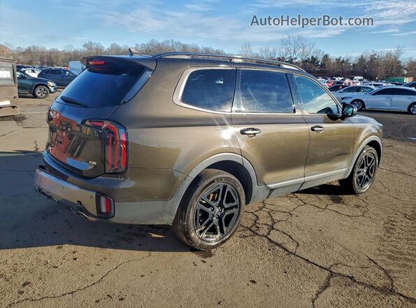 5XYP3DGC6PG346975 2023 KIA TELLURIDE Charcoal Tył prawy