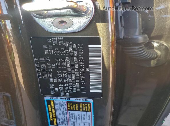 5XYP3DGC6PG346975 2023 KIA TELLURIDE Charcoal Widok komory silnika