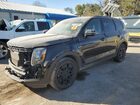 2021 Kia Telluride Ex Black vin: 5XYP3DHC6MG134412