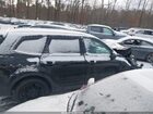 2021 Kia Telluride Ex Black vin: 5XYP3DHC8MG139255