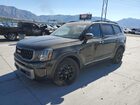 2023 Kia Telluride Sx Green vin: 5XYP5DGC8PG337916
