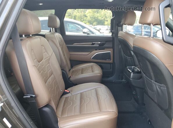 5XYP5DHC7LG079378 2020 KIA TELLURIDE Green Вид задньої частини салону
