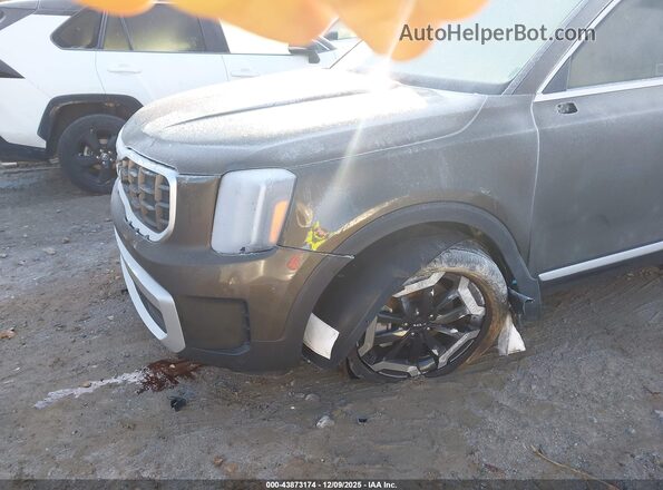 5XYP64GC8SG634819 2025 KIA TELLURIDE Коричневый Вид спереди
