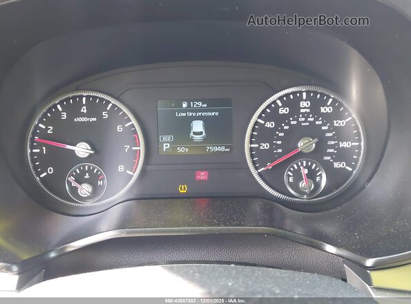 5XYP64HC0LG085732 2020 KIA TELLURIDE Золотой Вид задних сидений